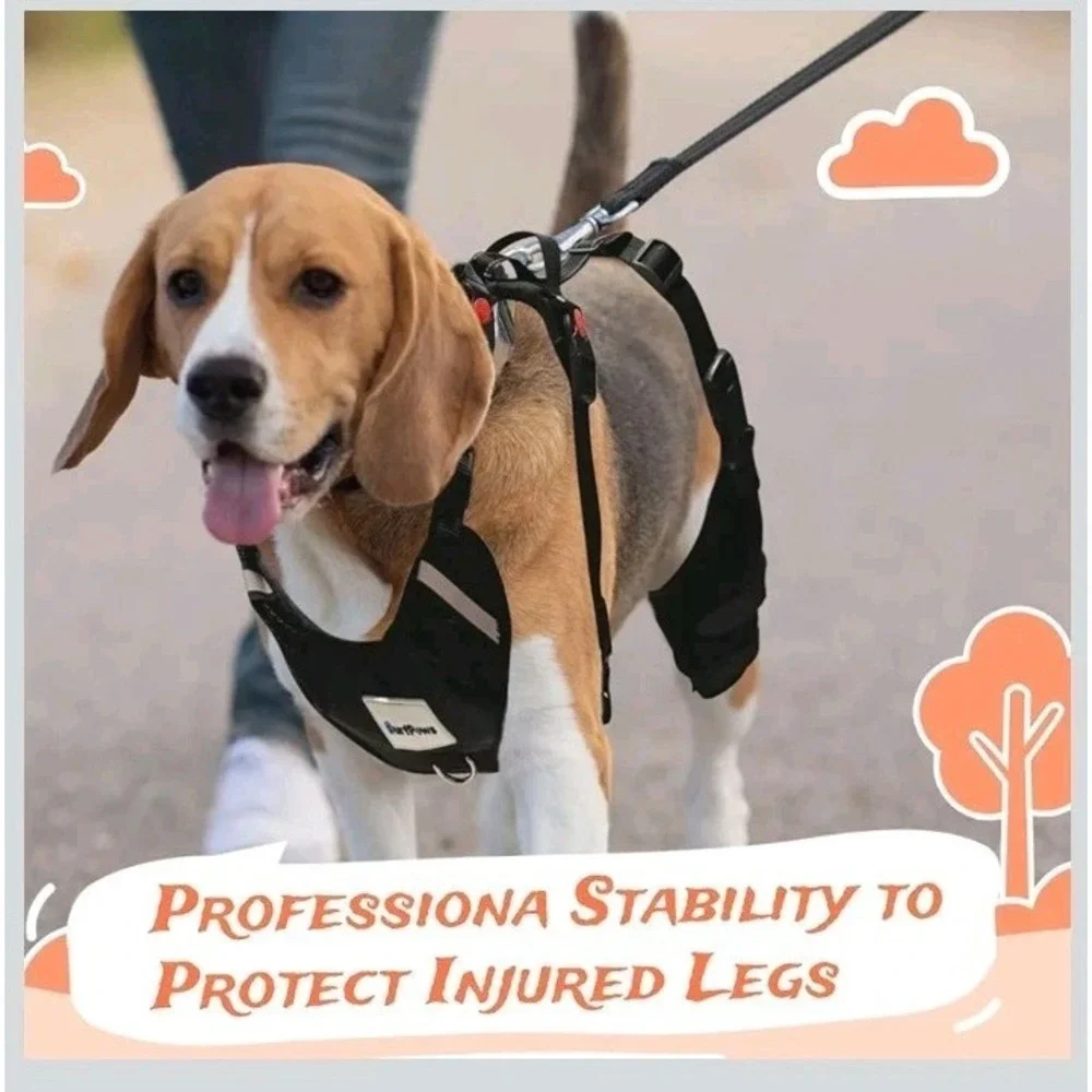 SurfPaws Professional Dog‎ Knee Brace w/ Harness- Large New w/Fast Shipping